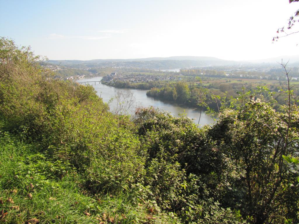 Villa Haus Lahneck bei Koblenz Lahnstein Exterior foto